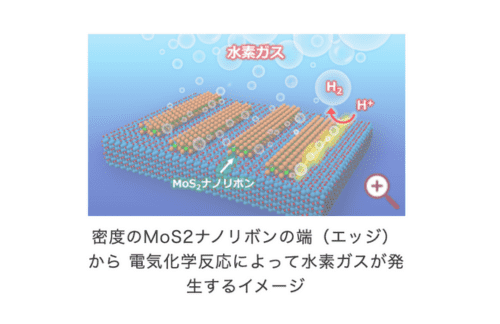 九大・名大・東北大など、水素発生と半導体応用を兼ね備えた二次元半導体ナノリボンを実現の概要写真