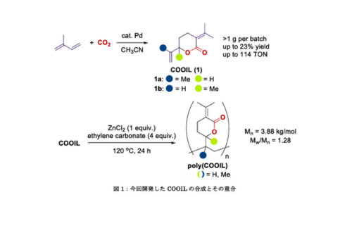 東大、二酸化炭素を原料とする100%再生可能資源由来のラクトンCOOILの効率的合成を達成の概要写真